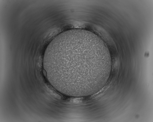 X0000097910078200804041511