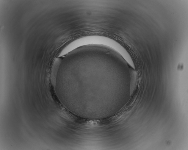 X0000097910080200804041511