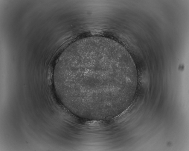 X0000097910082200804041511