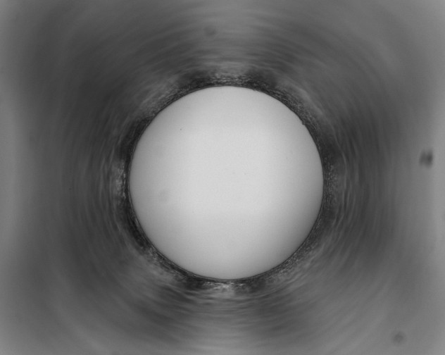 X0000097910083200804041511