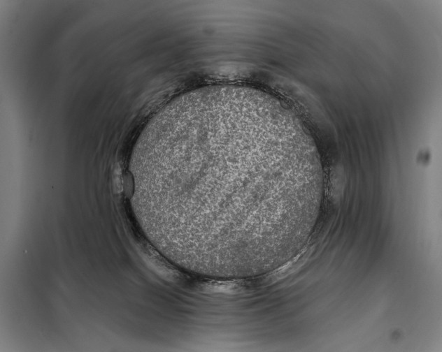 X0000097910086200804041511