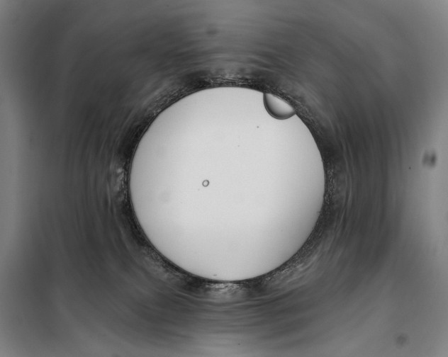 X0000097910087200804041511