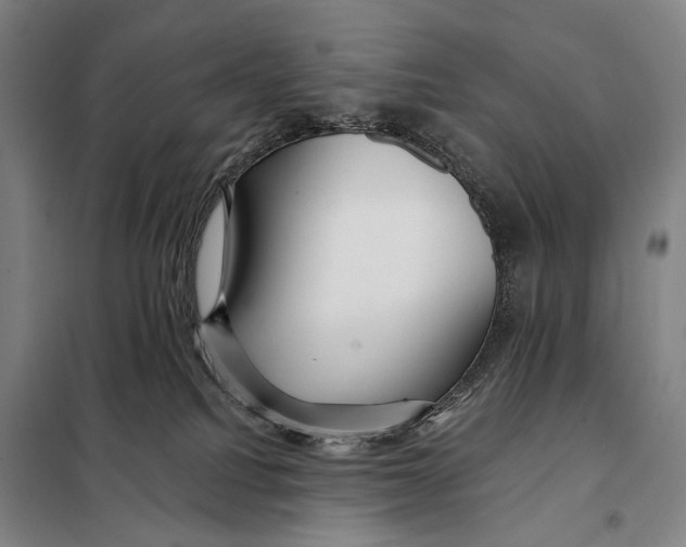 X0000097910088200804041511