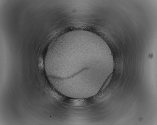 X0000097910089200804041511