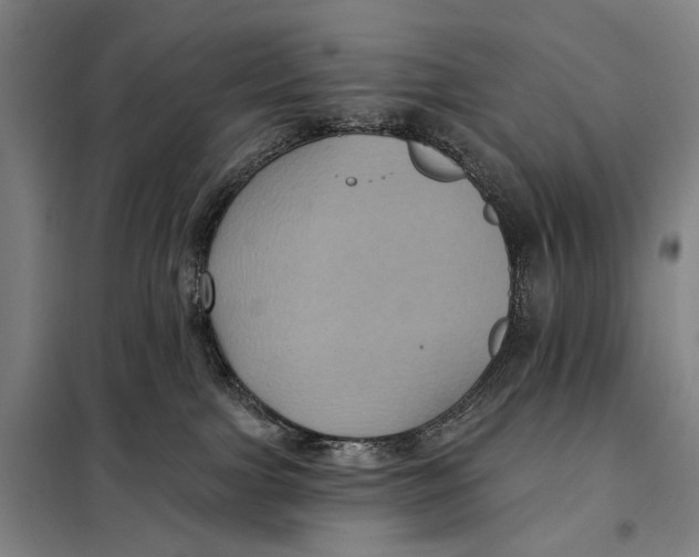 X0000097910091200804041511