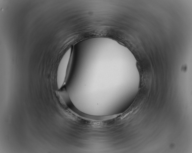 X0000097910092200804041511