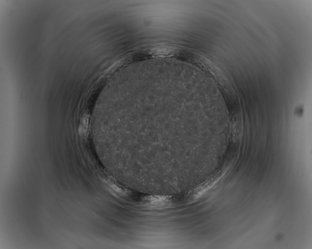 X0000097910093200804041511