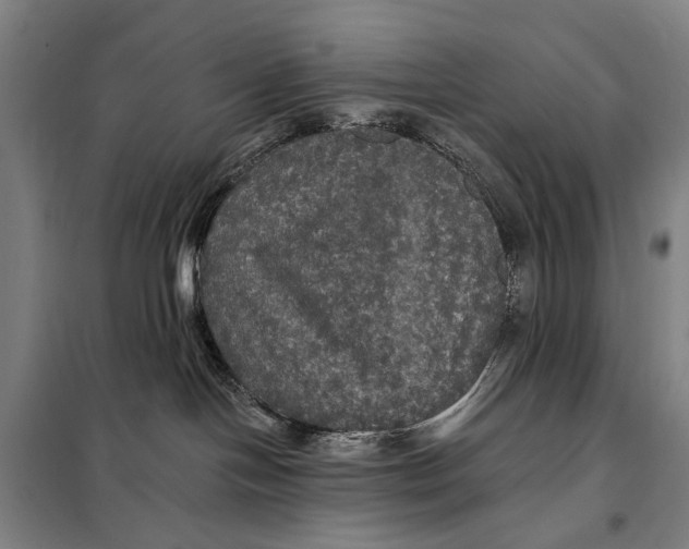 X0000097910094200804041511