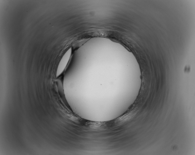 X0000097910096200804041511