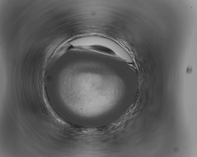 X0000097910097200804041510