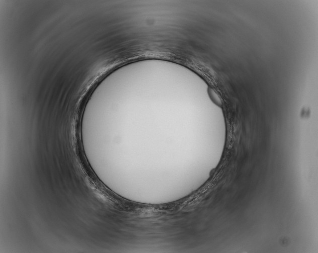 X0000097910098200804041510