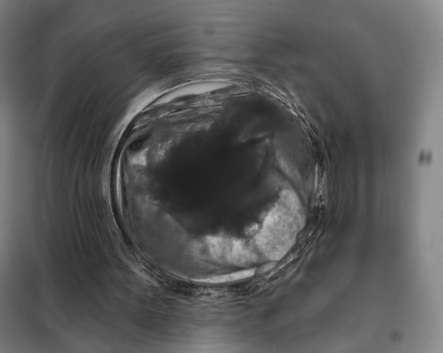 X0000097910099200804041510