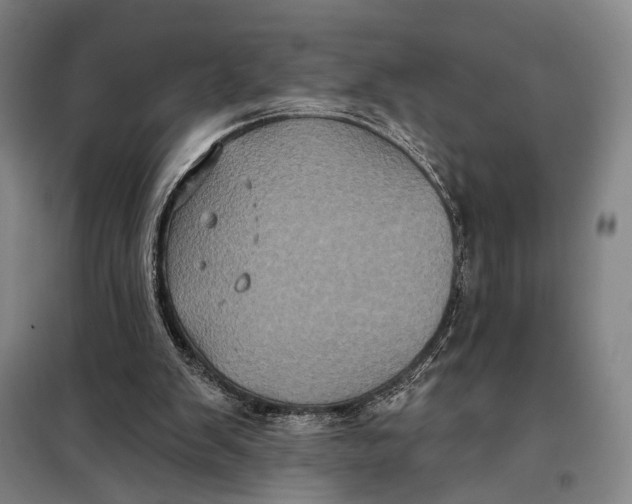 X0000097910103200804041510