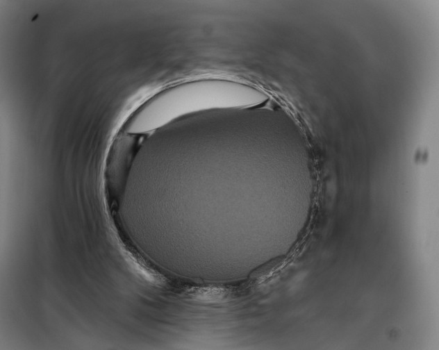 X0000097910104200804041510