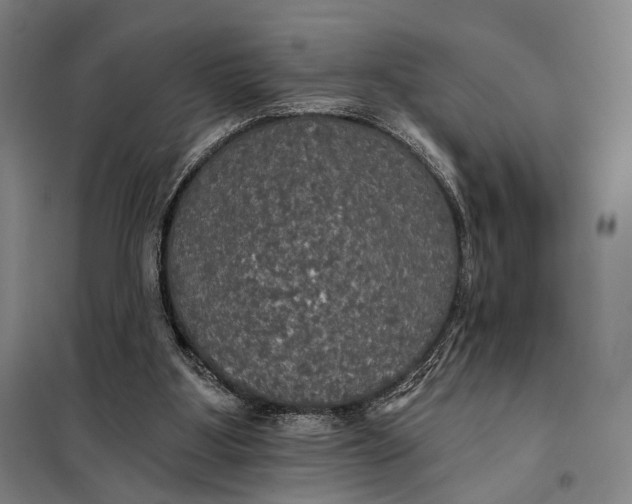 X0000097910107200804041510