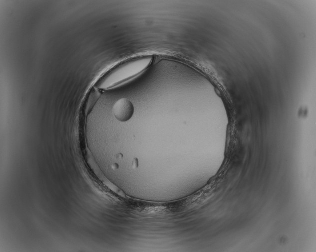 X0000097910108200804041510