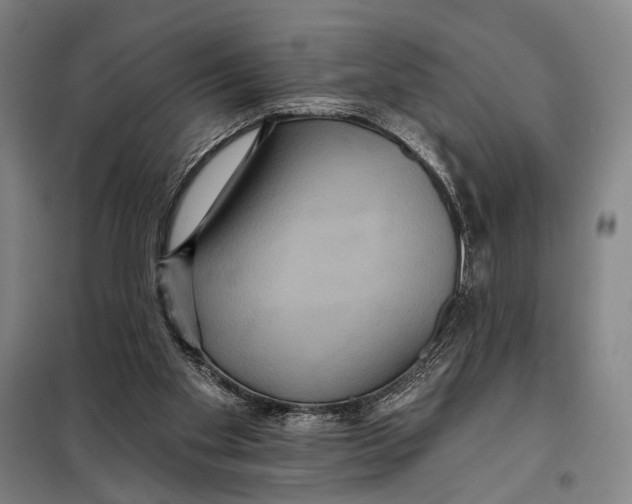 X0000097910109200804041510