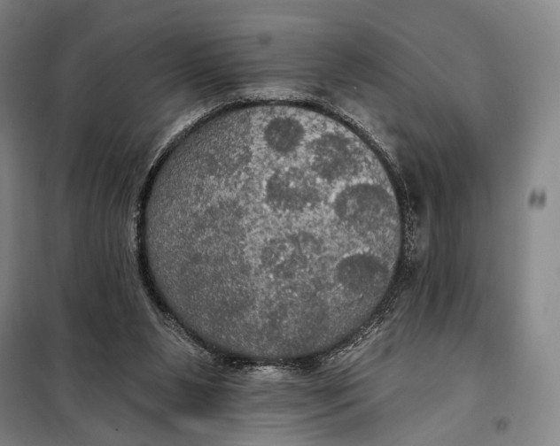 X0000097910111200804041510