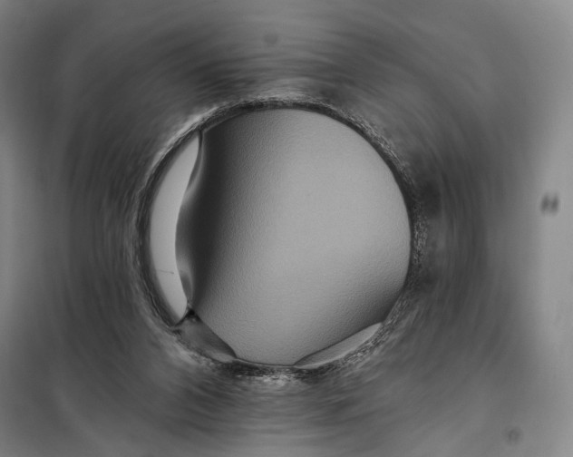 X0000097910112200804041510