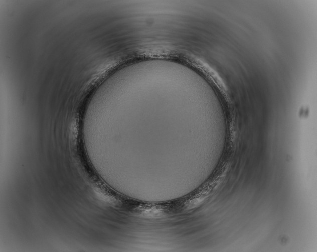 X0000097910113200804041510