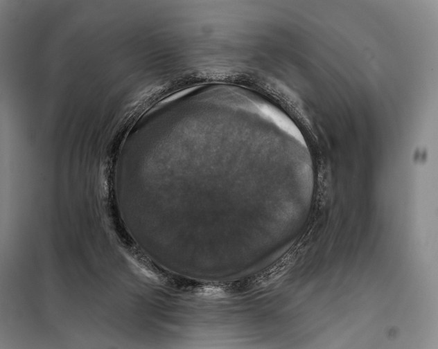 X0000097910114200804041510