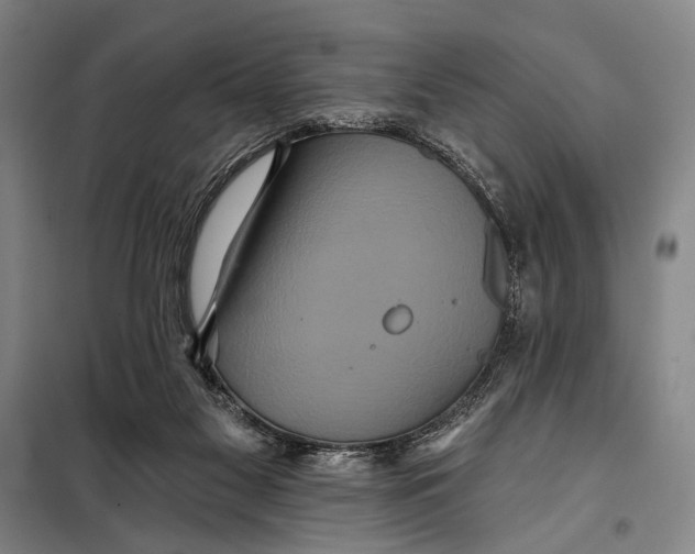 X0000097910117200804041510