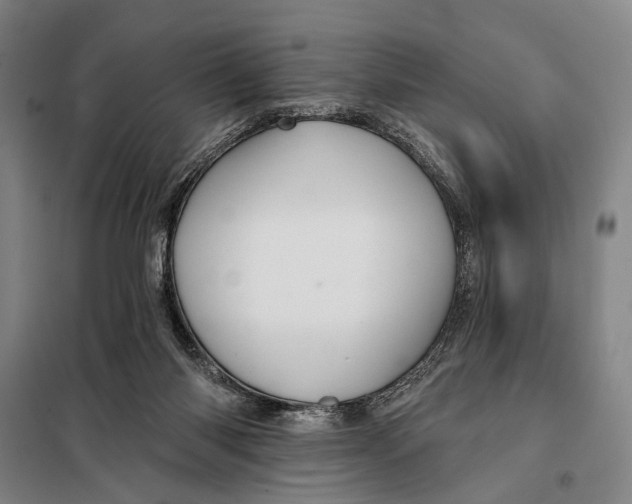 X0000097910118200804041510