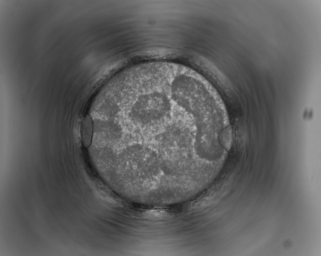 X0000097910119200804041510