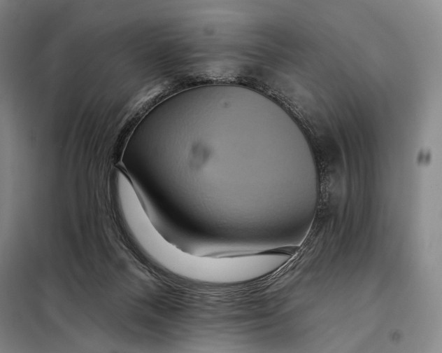 X0000097910120200804041510