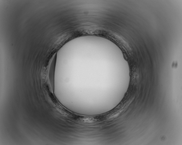 X0000097910121200804041510