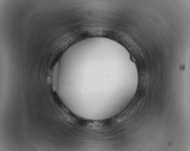 X0000097910125200804041510