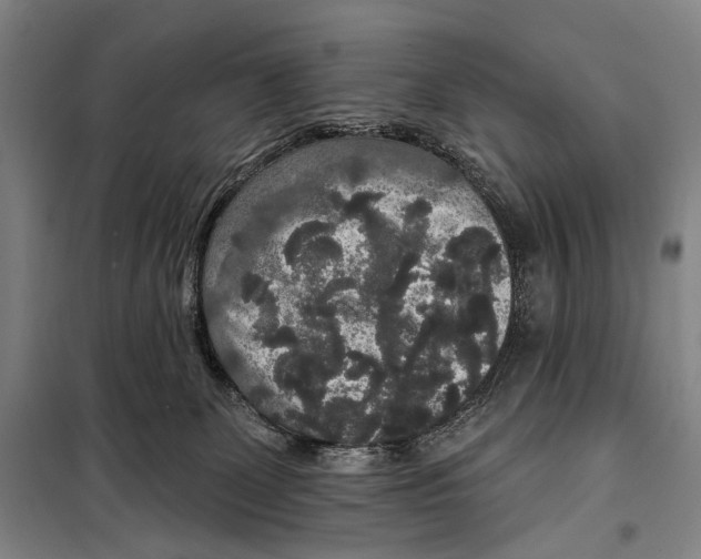 X0000097910131200804041510