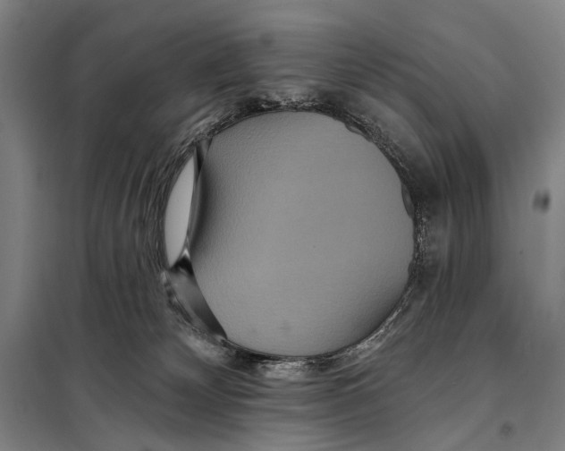 X0000097910132200804041510