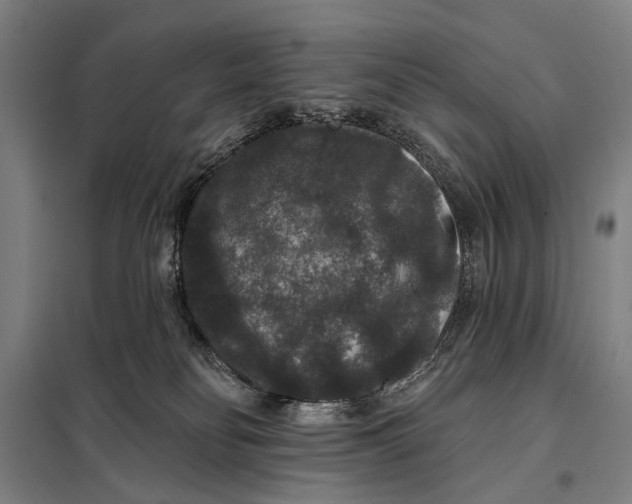 X0000097910134200804041510