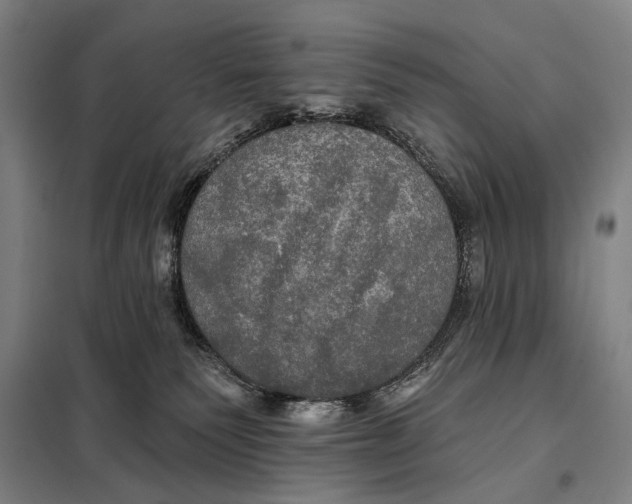 X0000097910135200804041510