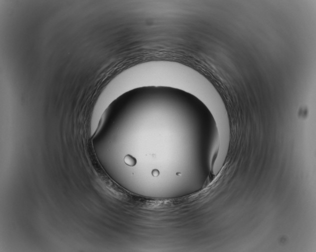 X0000097910136200804041510