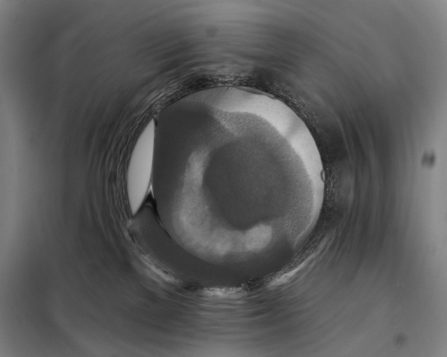 X0000097910137200804041510