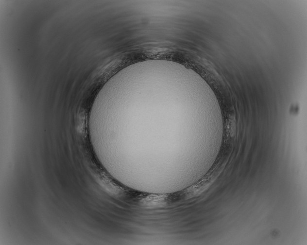 X0000097910138200804041510