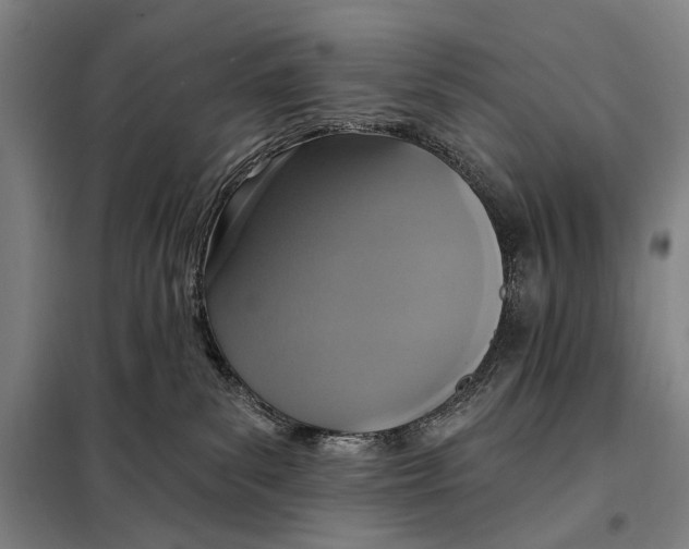 X0000097910139200804041510