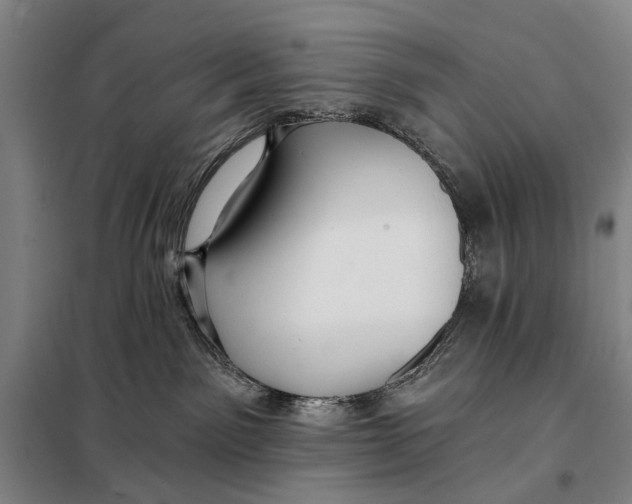 X0000097910141200804041510