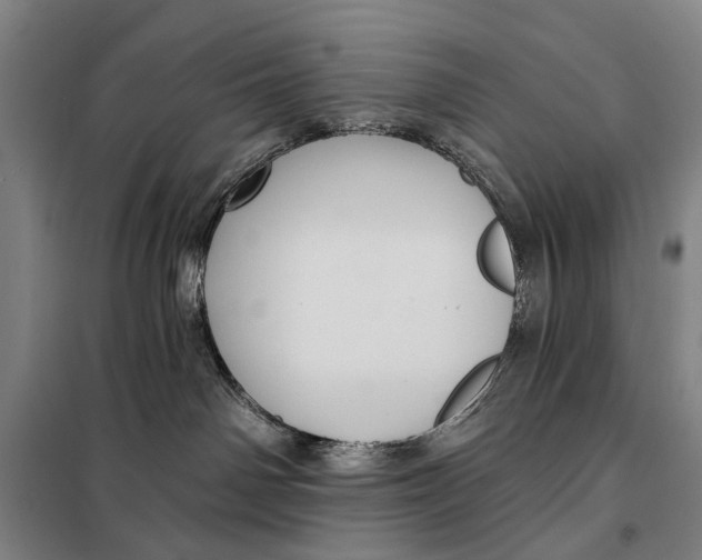 X0000097910142200804041510