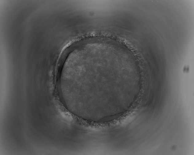 X0000097910144200804041510