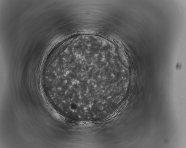 X0000097910145200804041509