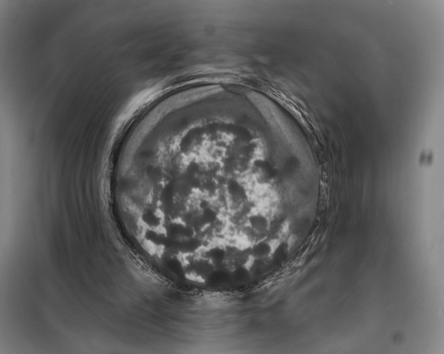 X0000097910149200804041509