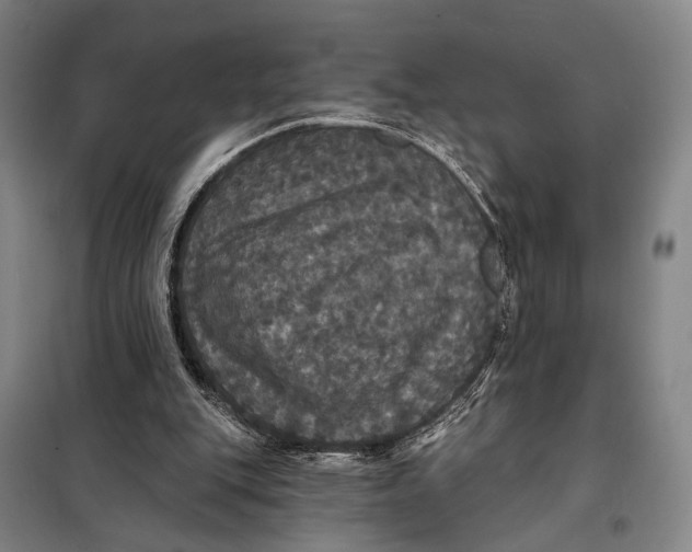 X0000097910151200804041509