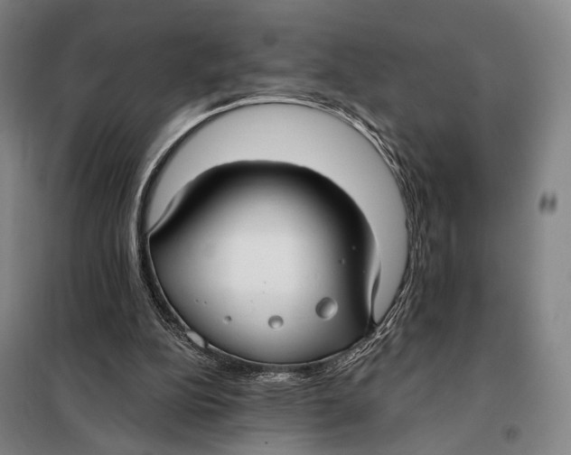 X0000097910152200804041509