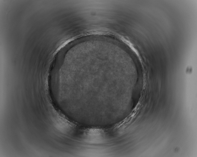 X0000097910154200804041509