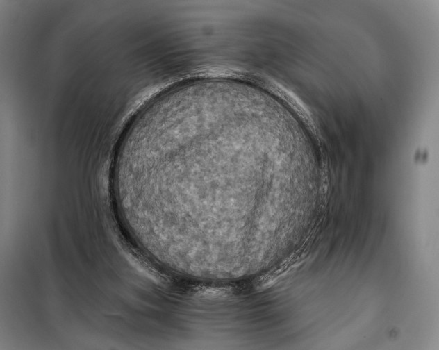 X0000097910155200804041509