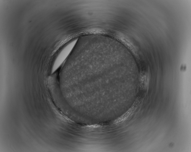 X0000097910158200804041509