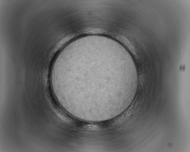 X0000097910159200804041509